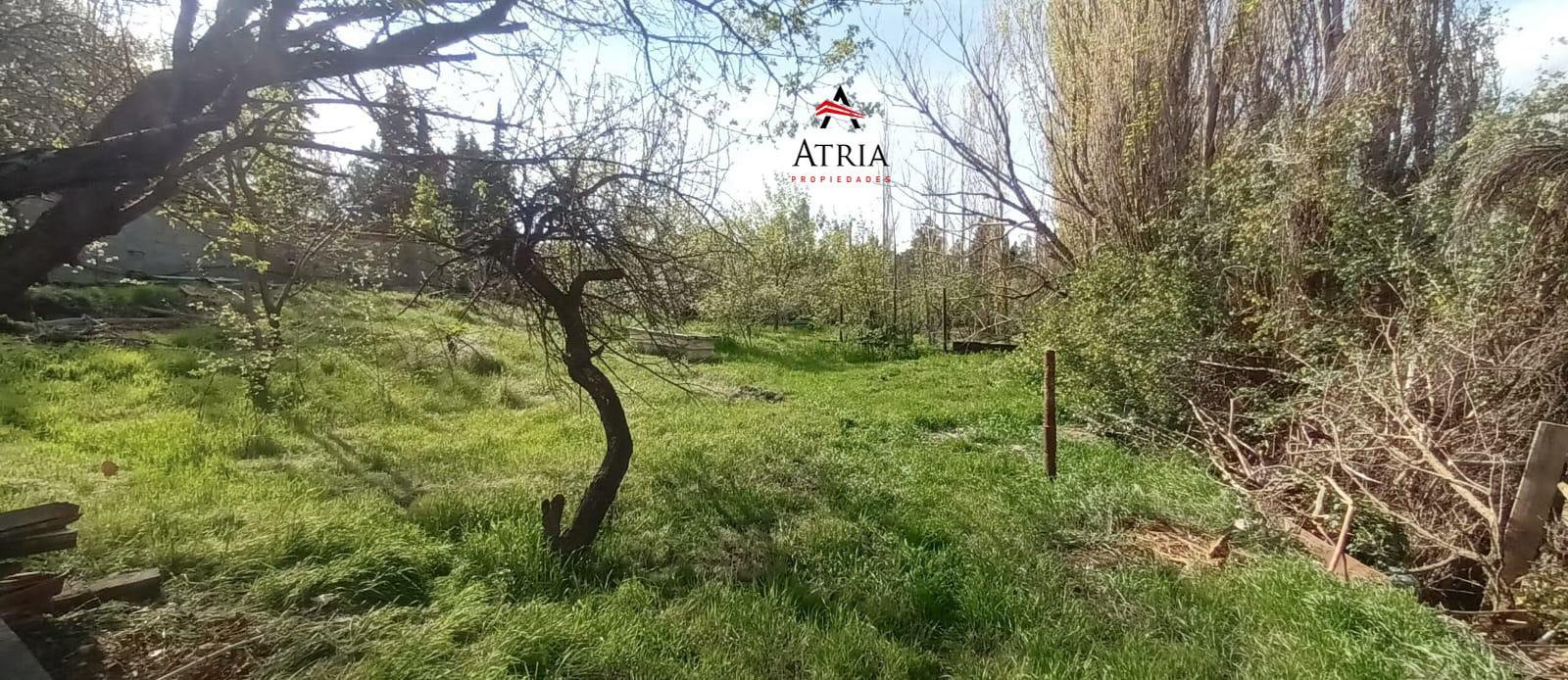 3 Terrenos en Venta - Por separado o en conjunto.