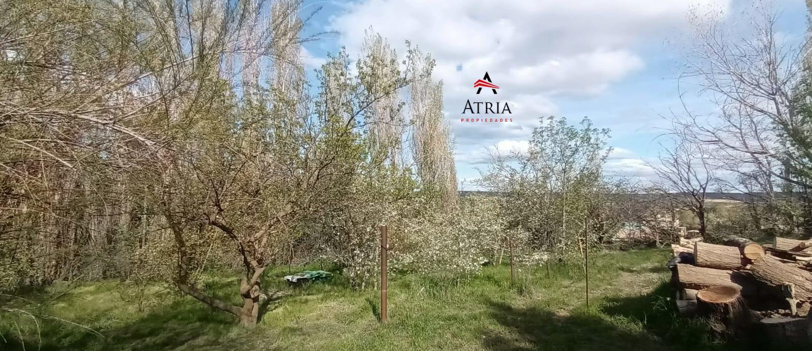 3 Terrenos en Venta - Por separado o en conjunto. — foto 4 de 10