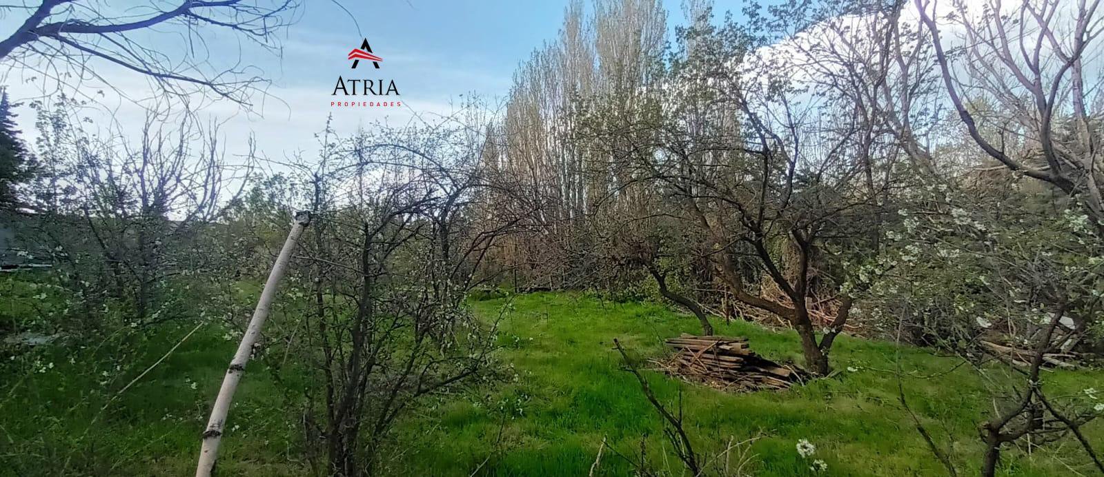 3 Terrenos en Venta - Por separado o en conjunto. — foto 5 de 10