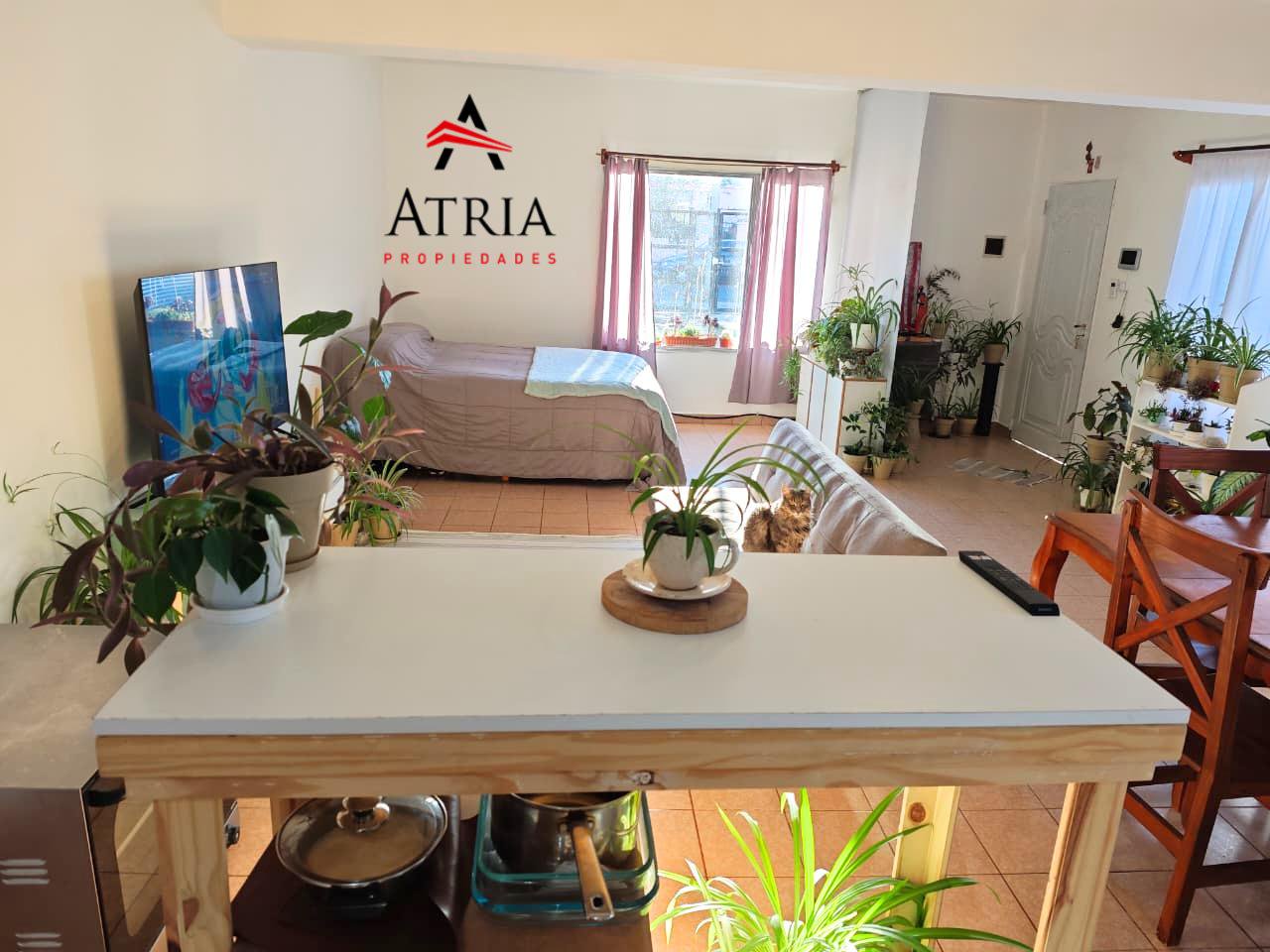 Casa en venta - B° 13 de Diciembre — foto 5 de 25