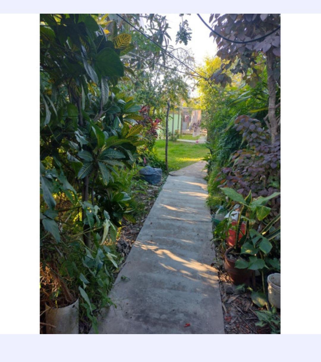 Casa - Belgrano — foto 5 de 5