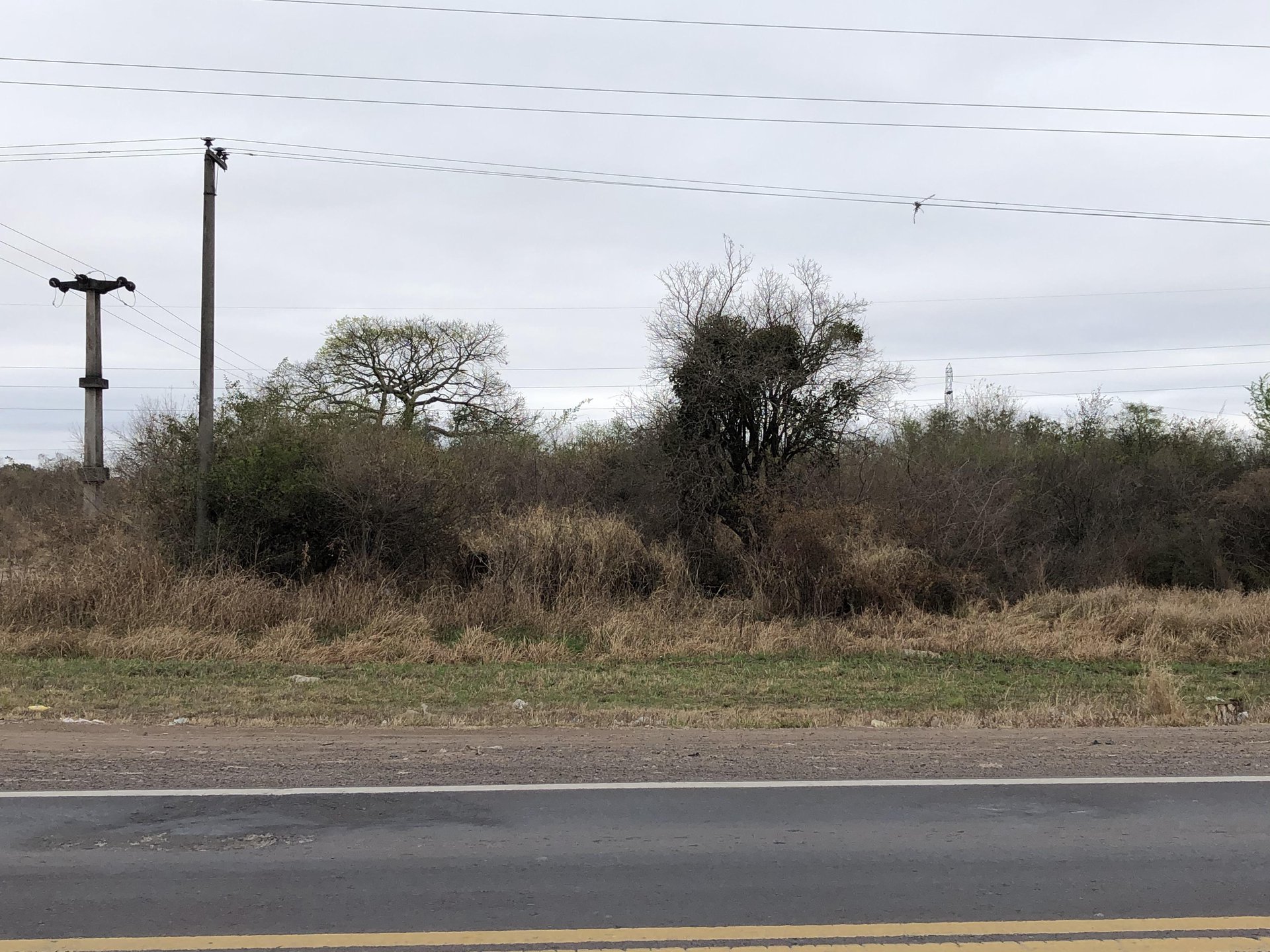 Terreno -  Ruta Nacional N° 16 — foto 2 de 5