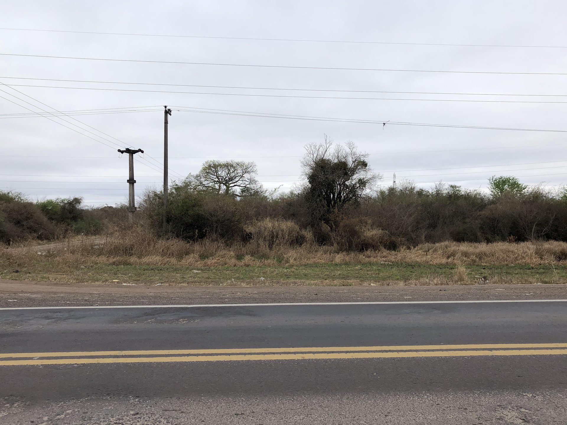 Terreno -  Ruta Nacional N° 16 — foto 3 de 5