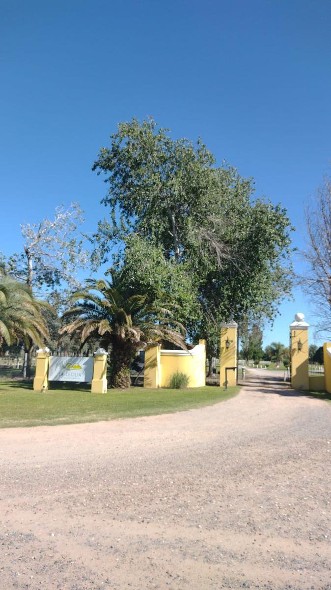 Casa en Lujan — foto 2 de 35