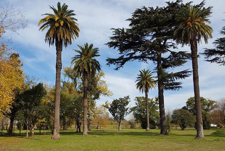 Terreno - Longchamps — foto 1 de 5
