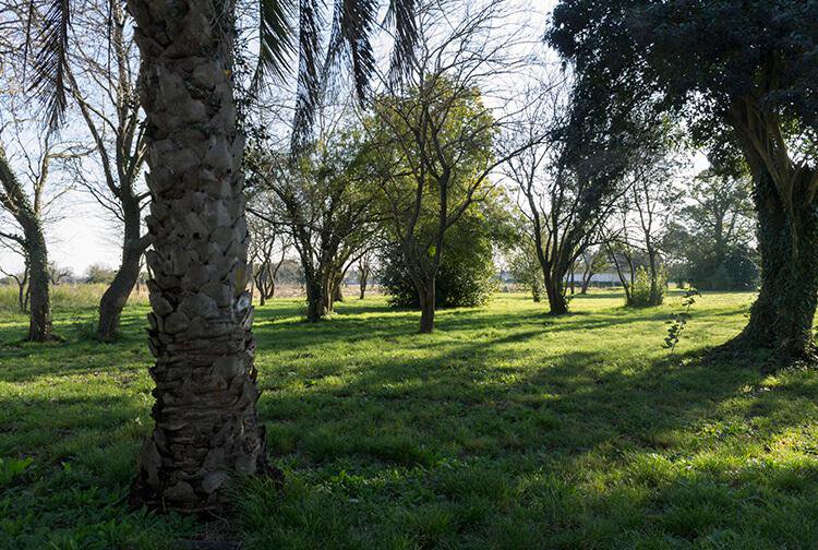Terreno - Longchamps — foto 3 de 5