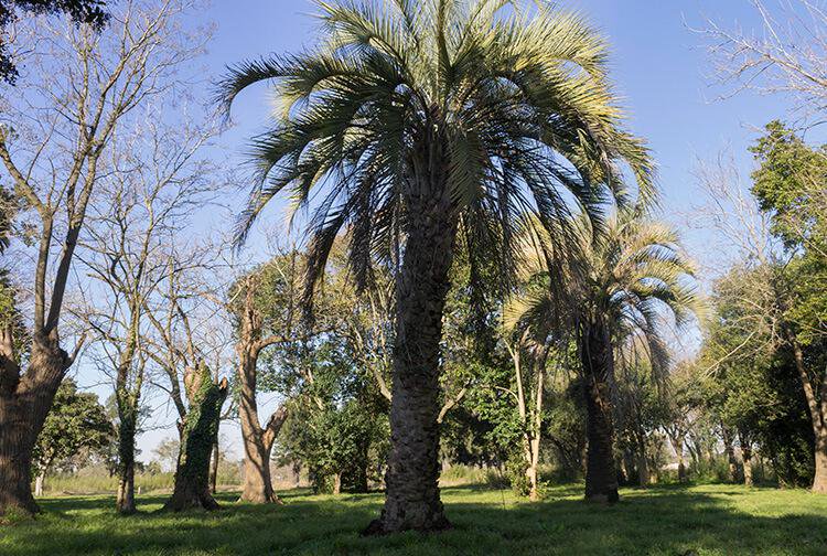 Terreno - Longchamps — foto 4 de 5