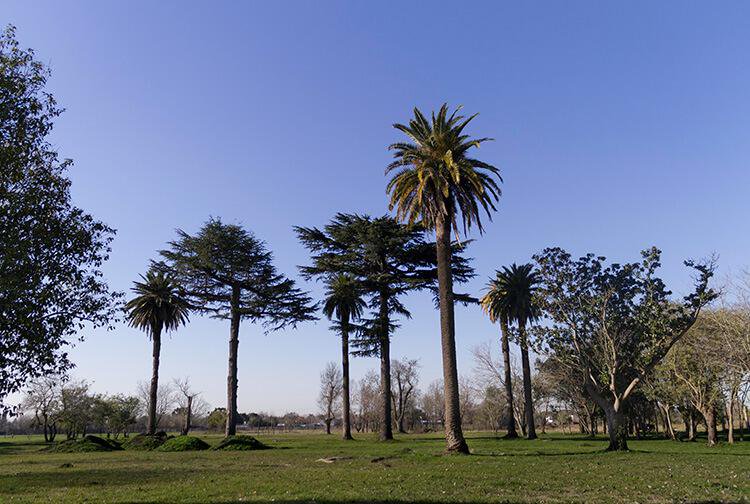 Terreno - Longchamps — foto 5 de 5