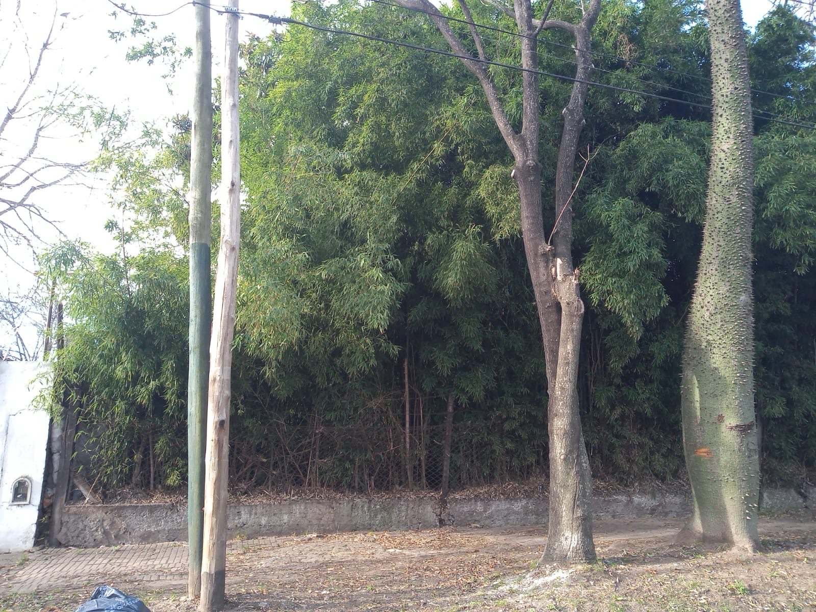 Terreno en vago 170 — foto 1 de 4