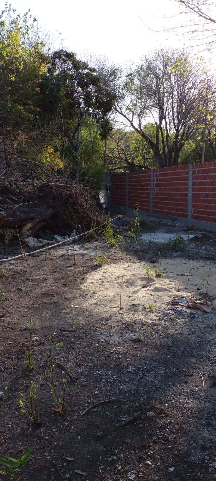 Terreno en vago 170 — foto 3 de 4