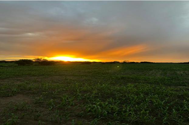 Rural - Conhelo — imagen 2