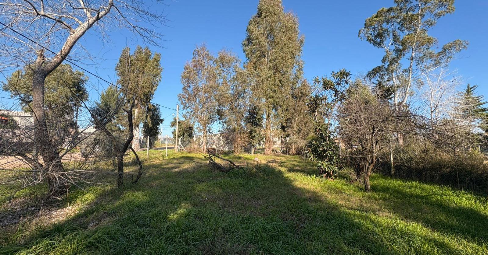 Terreno en Los Hornos — foto 1 de 4