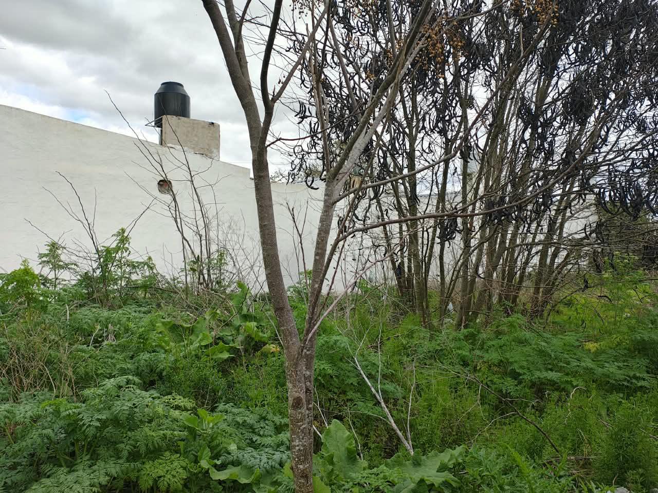 Terreno en La Plata — foto 3 de 19