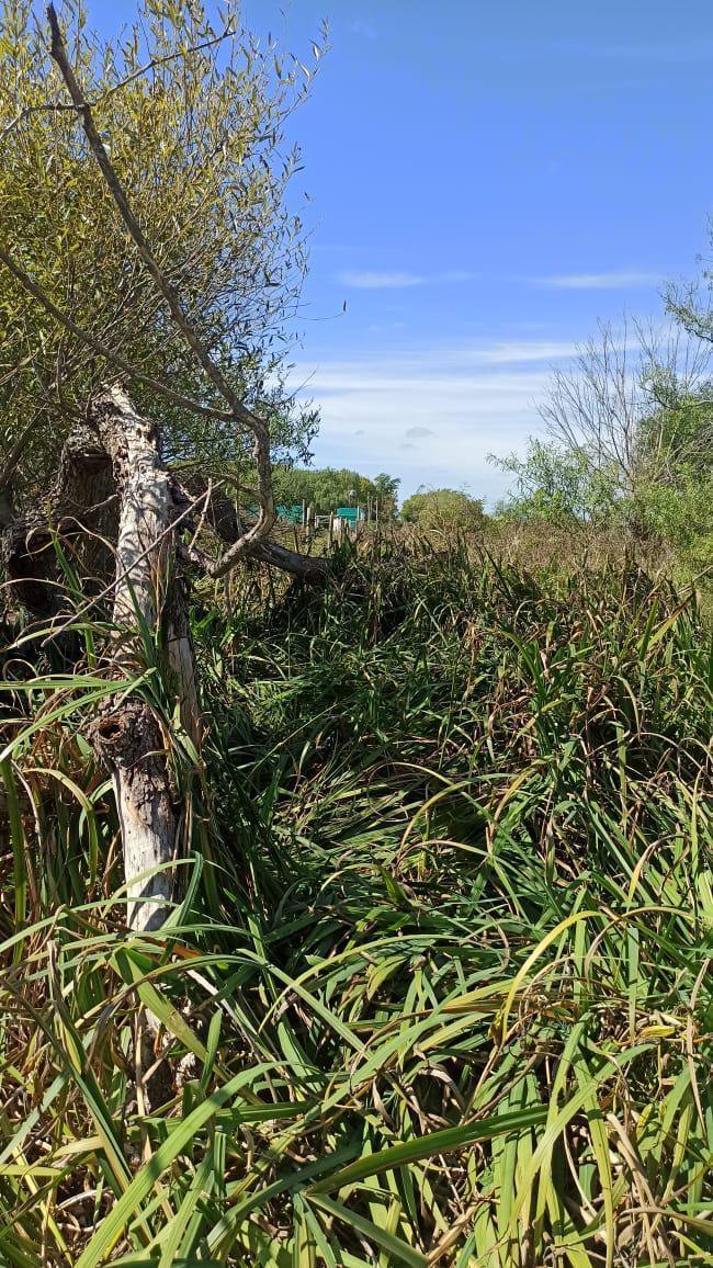 VENTA DE FRACCION DE LOTE EN BERISSO — foto 4 de 10