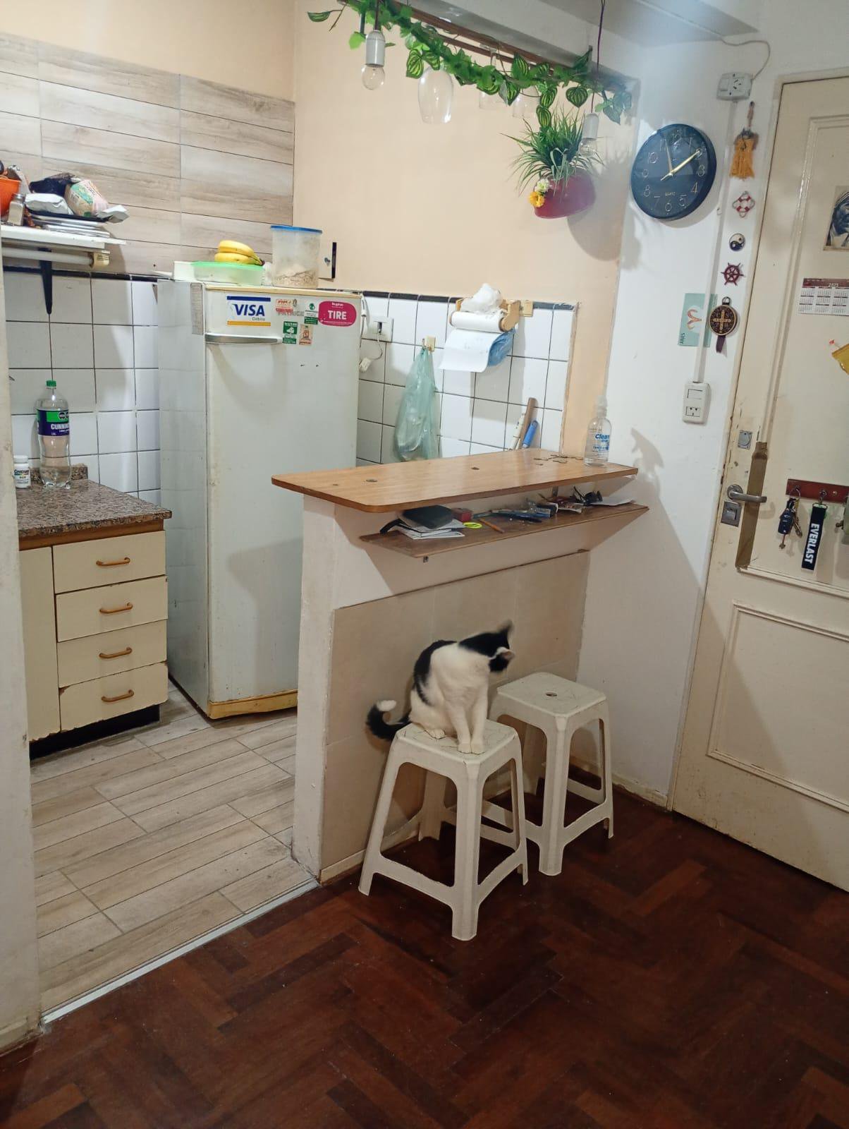 1º piso por escalera, cocina abierta, inmejorable ubicación! — foto 4 de 11