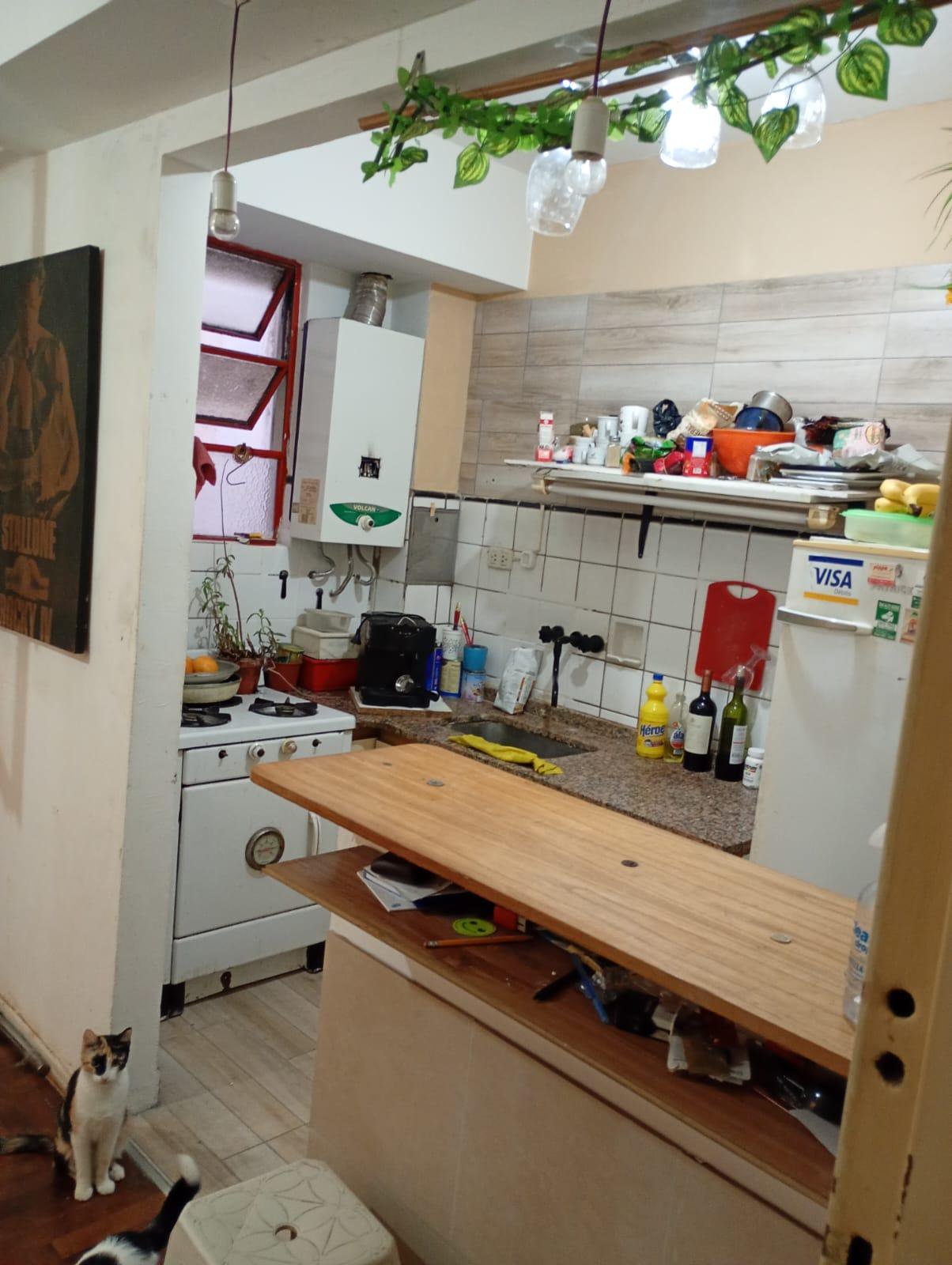 1º piso por escalera, cocina abierta, inmejorable ubicación! — foto 5 de 11