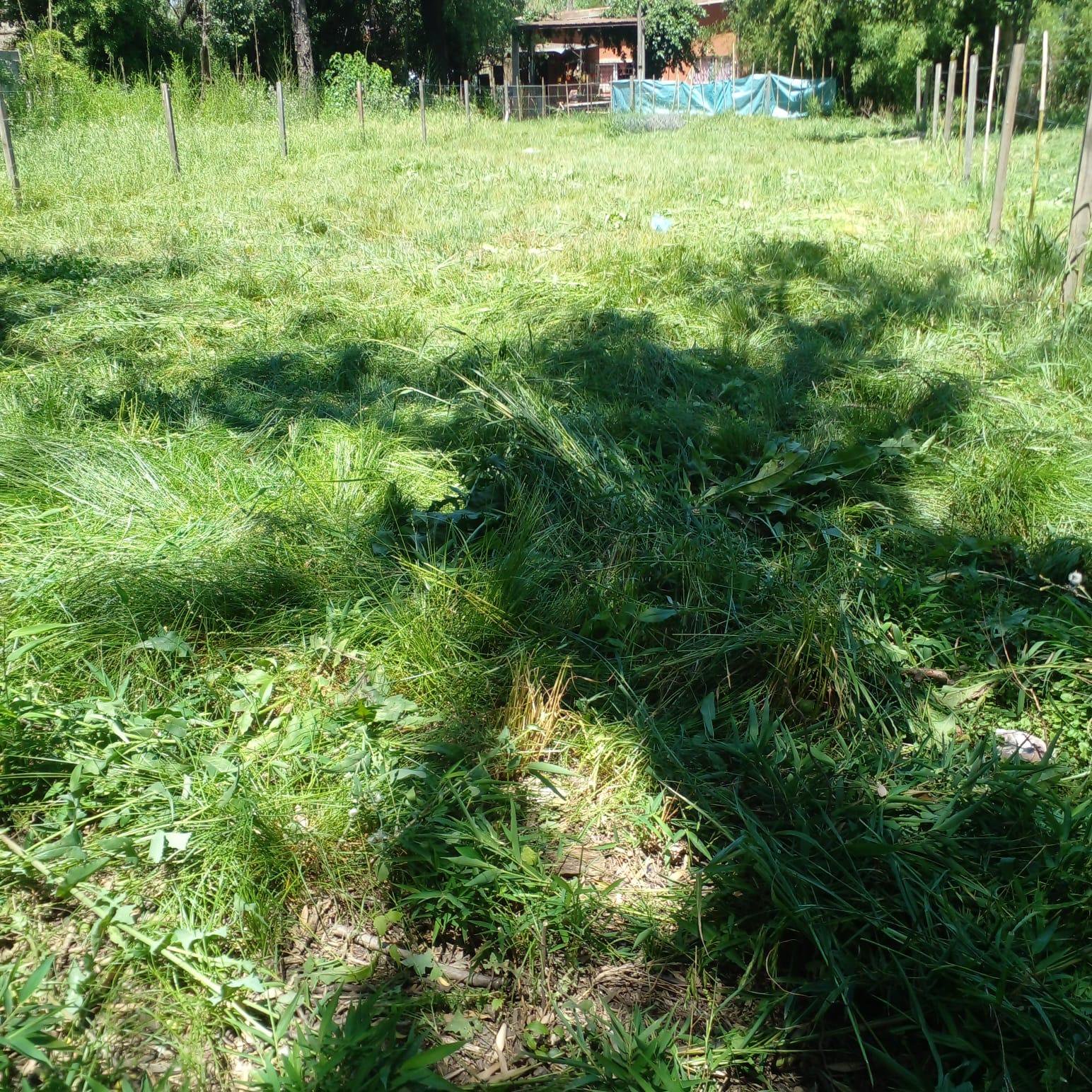 Terreno en VENTA de 350 m2 - Ideal Casa de Fin de semana