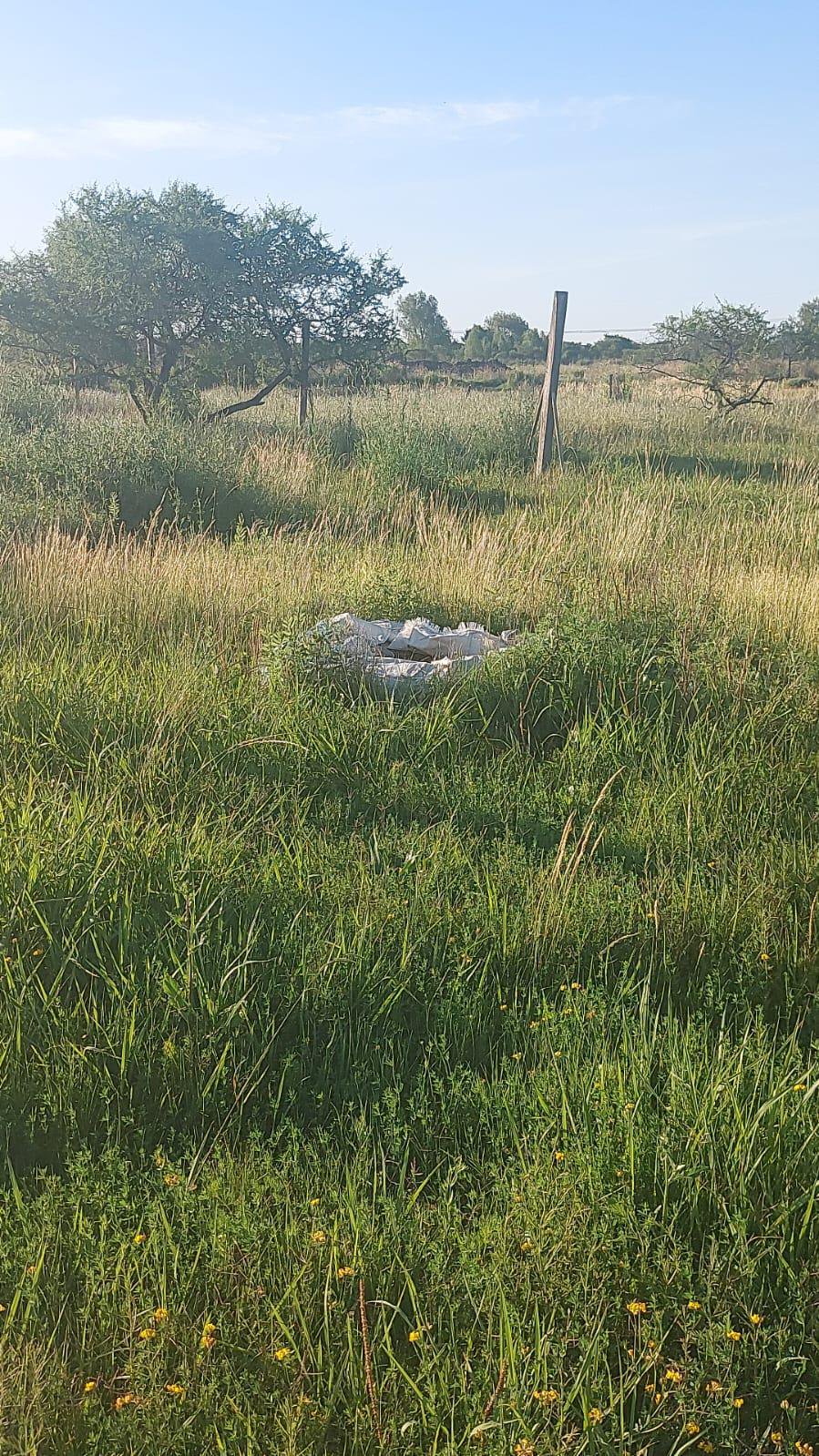 EXCELENTE TERRENO DE 15 X 30 EN GUALEGUAYCHU BARRIO BELGRANO — foto 4 de 6