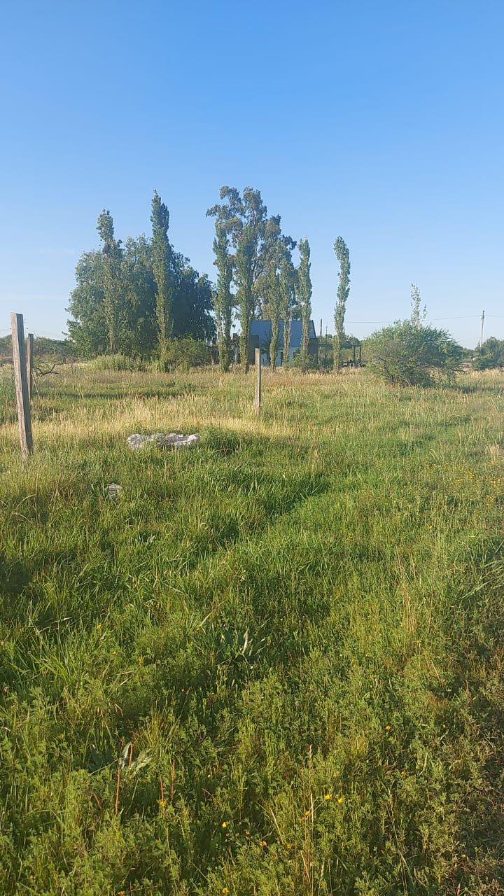 EXCELENTE TERRENO DE 15 X 30 EN GUALEGUAYCHU BARRIO BELGRANO — foto 5 de 6
