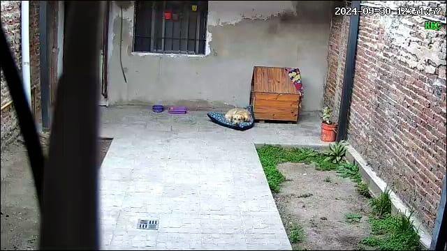 Casa en Jose León Suarez — foto 2 de 16