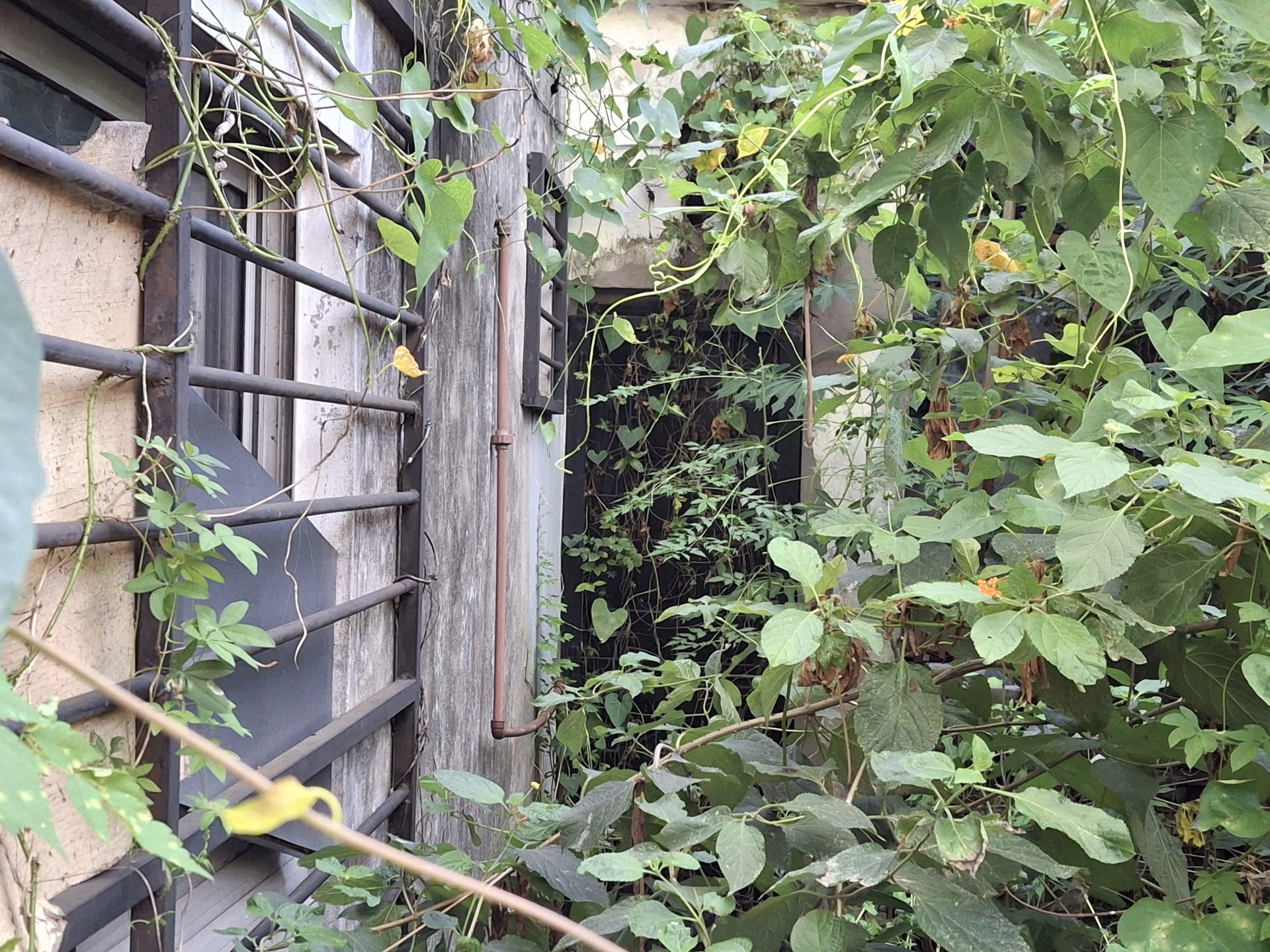 Casa en Ventas en José León Suarez — foto 3 de 18