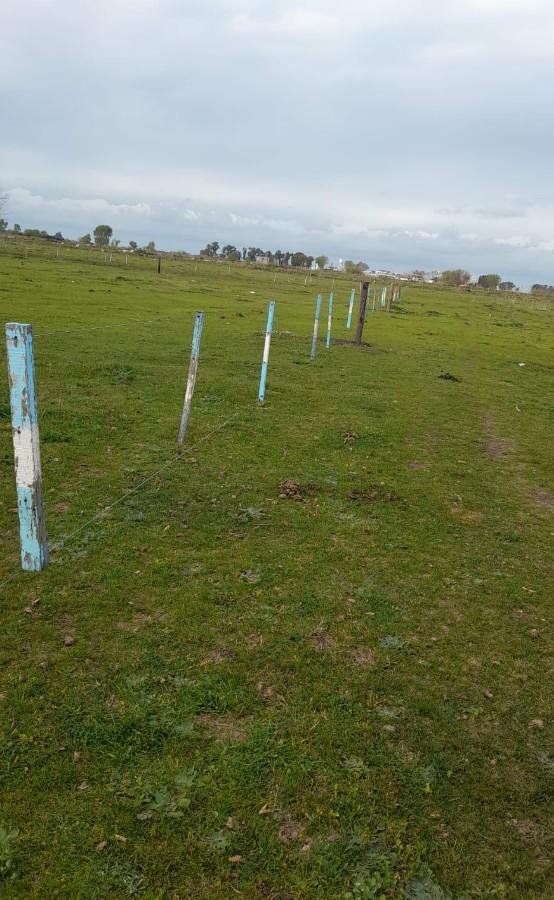 Lotes terreno en Azul Prov. de Bs. As — foto 4 de 8