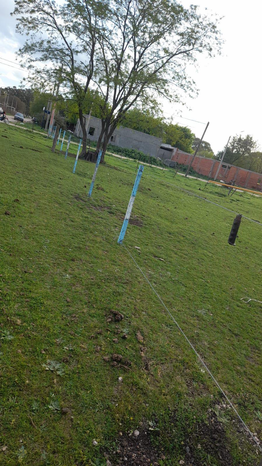 Lotes terreno en Azul Prov. de Bs. As — foto 5 de 8