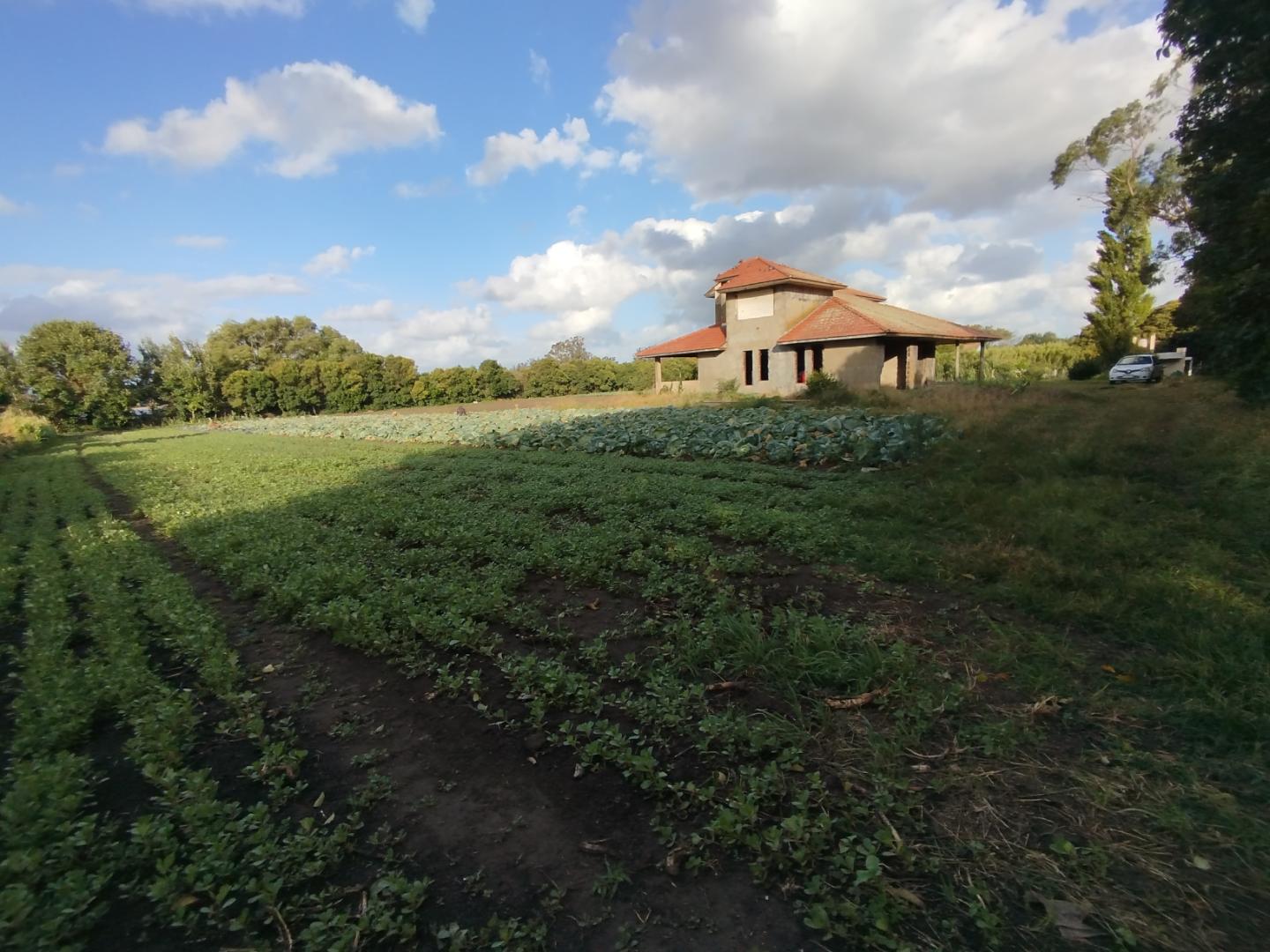 CAMPO CON CASA A TERMINAR
