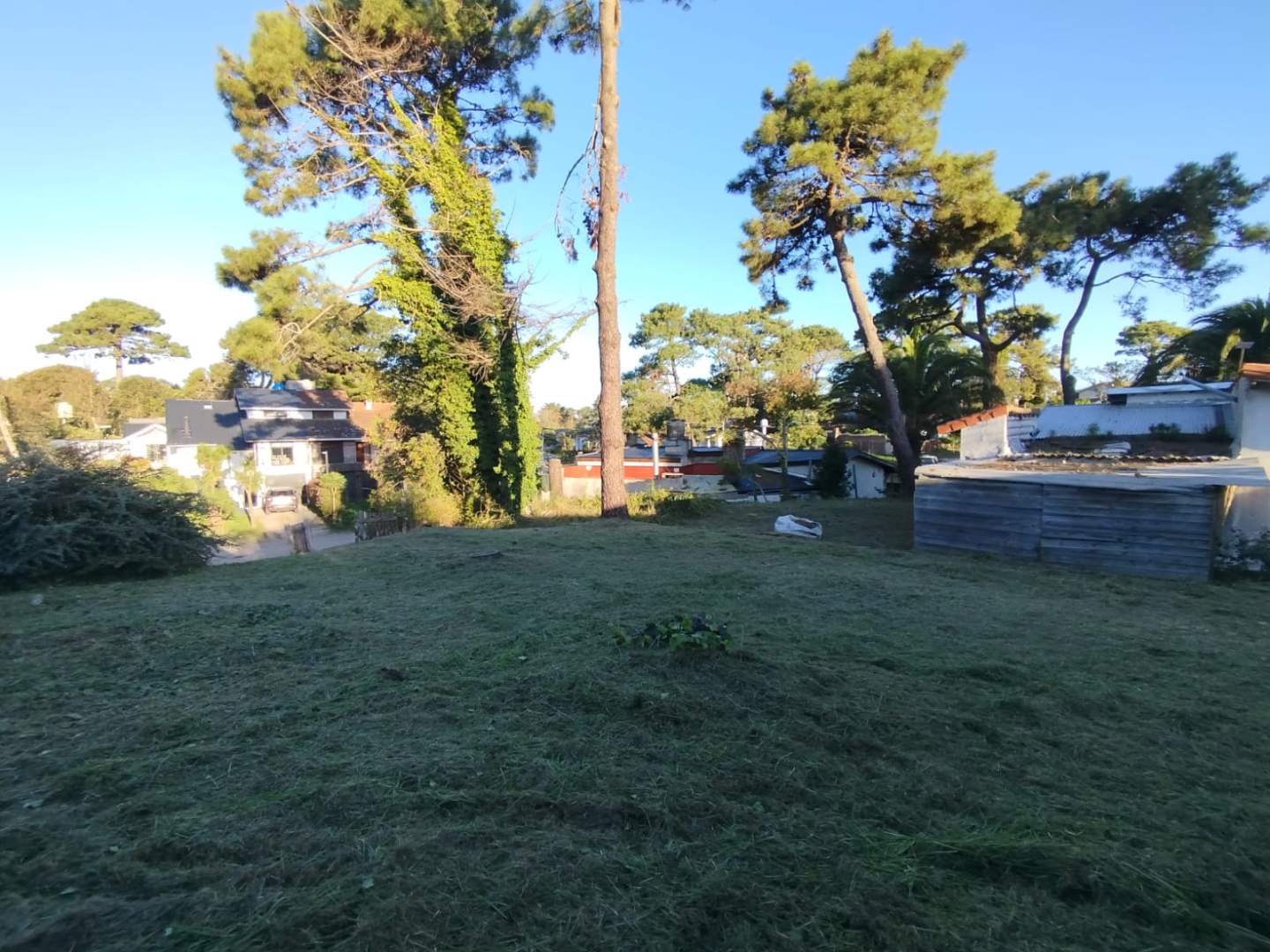 CASA EN VILLA GESELL — foto 4 de 10