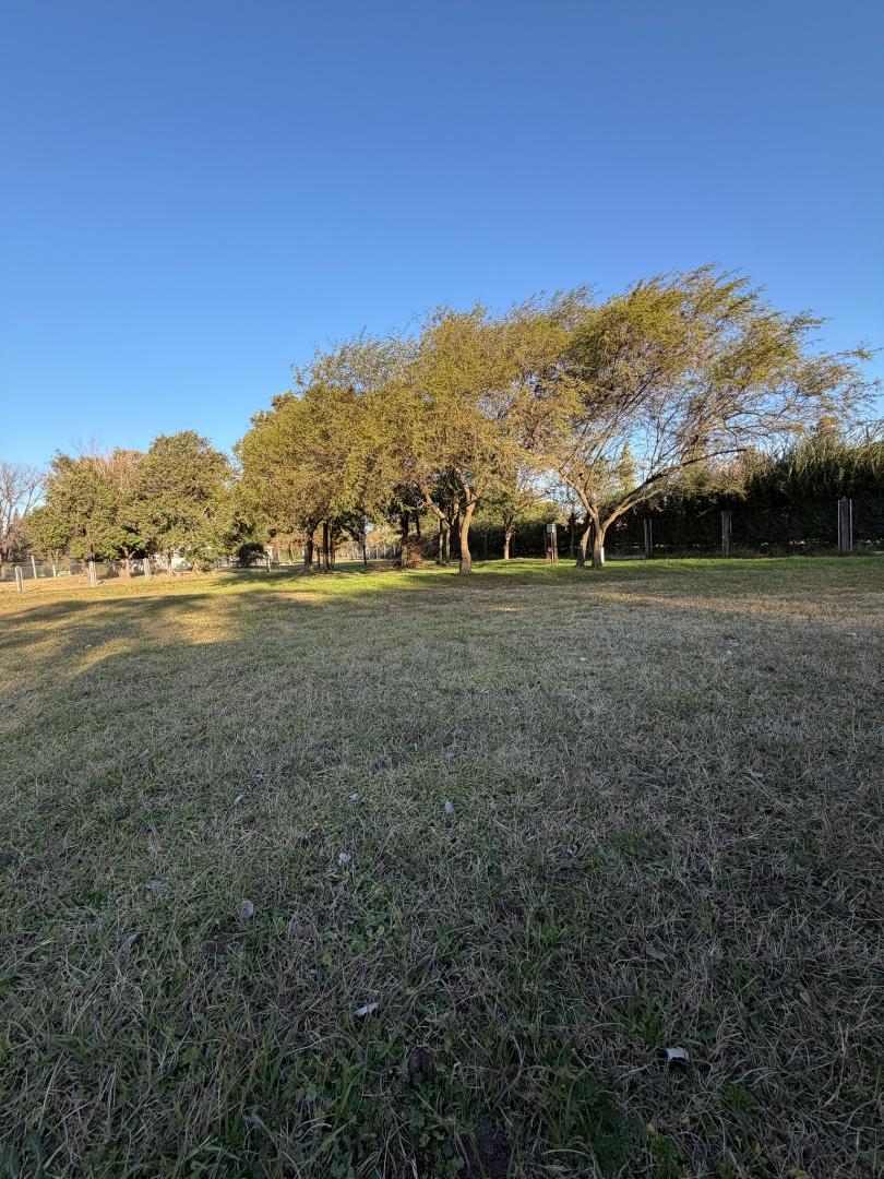 TERRENO EN VENTA BOSUE SOL DE MAYO — foto 4 de 8