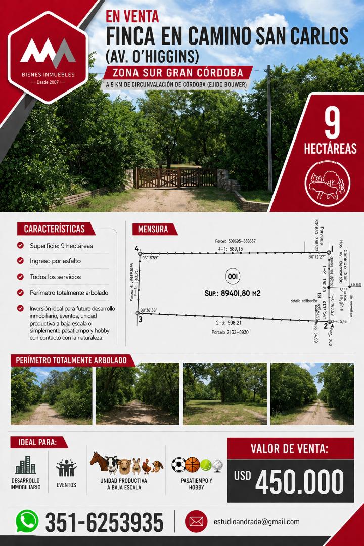 Finca o Chacra en Camino San Carlos (Av. O'Higgins)
