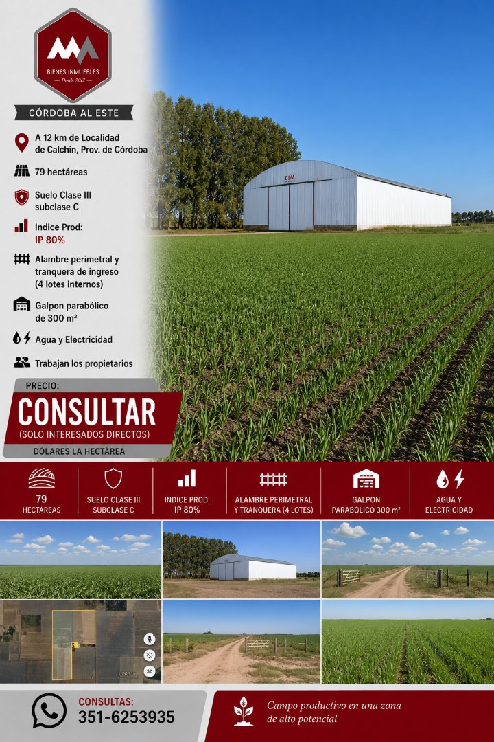 Campo 79 hectáreas en Calchin Prov. Córdoba