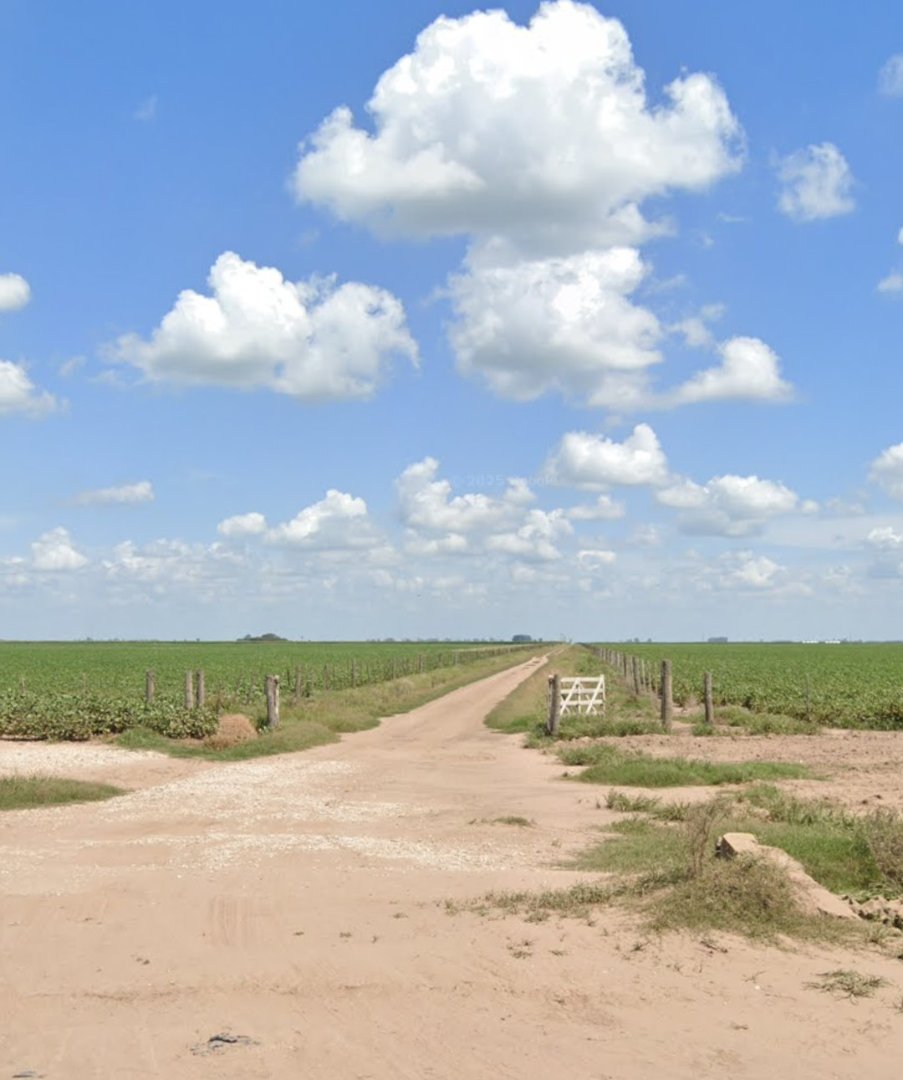 Campo 79 hectáreas en Calchin Prov. Córdoba — foto 5 de 5