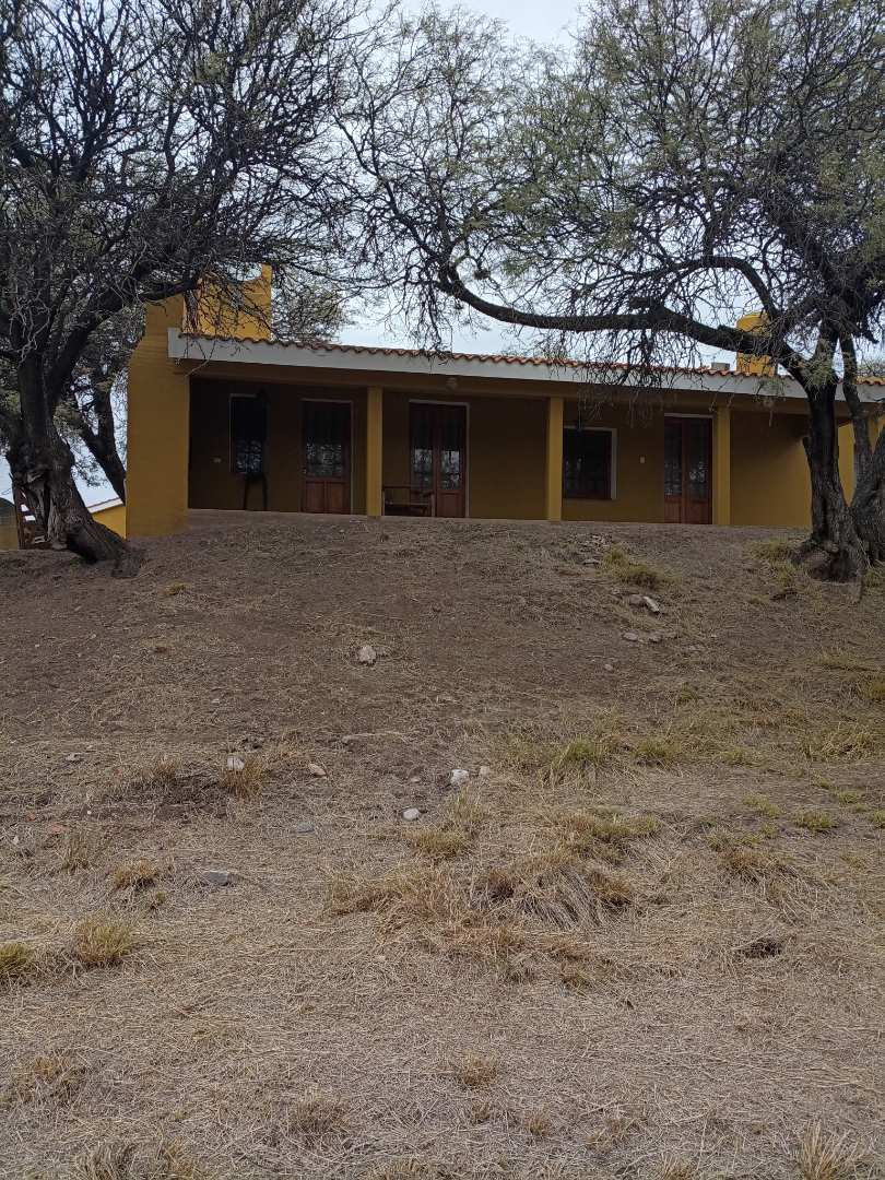 Campo Ganadero acceso por Ruta asfalto — foto 2 de 22