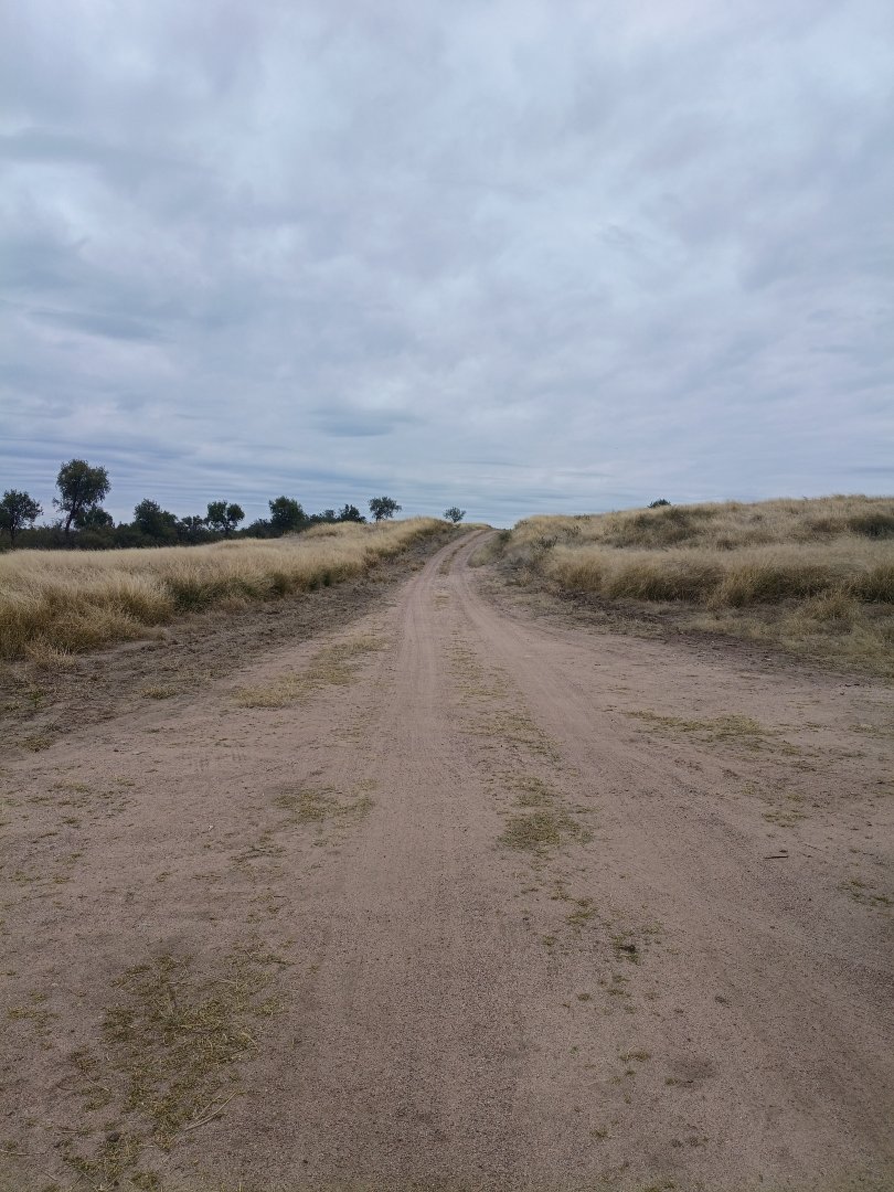 Campo Ganadero acceso por Ruta asfalto — foto 5 de 22